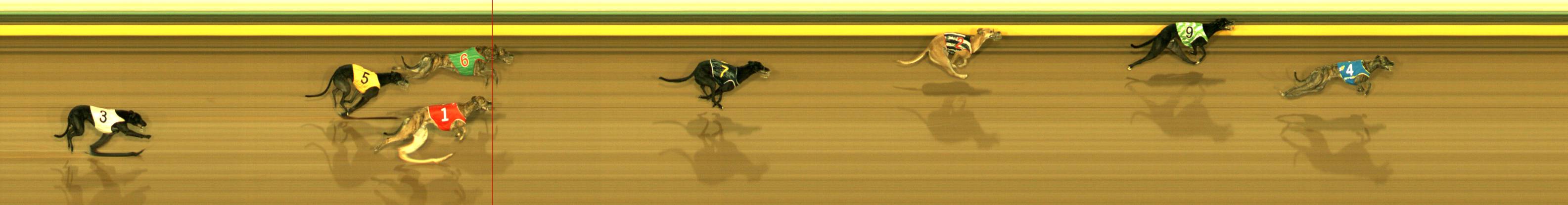 Race result finish photo